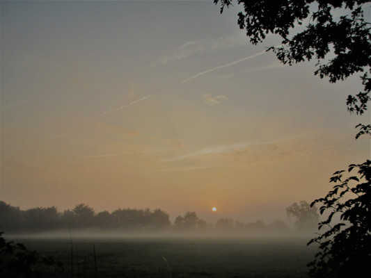 Sonnenaufgang-mit-Nebel-3
